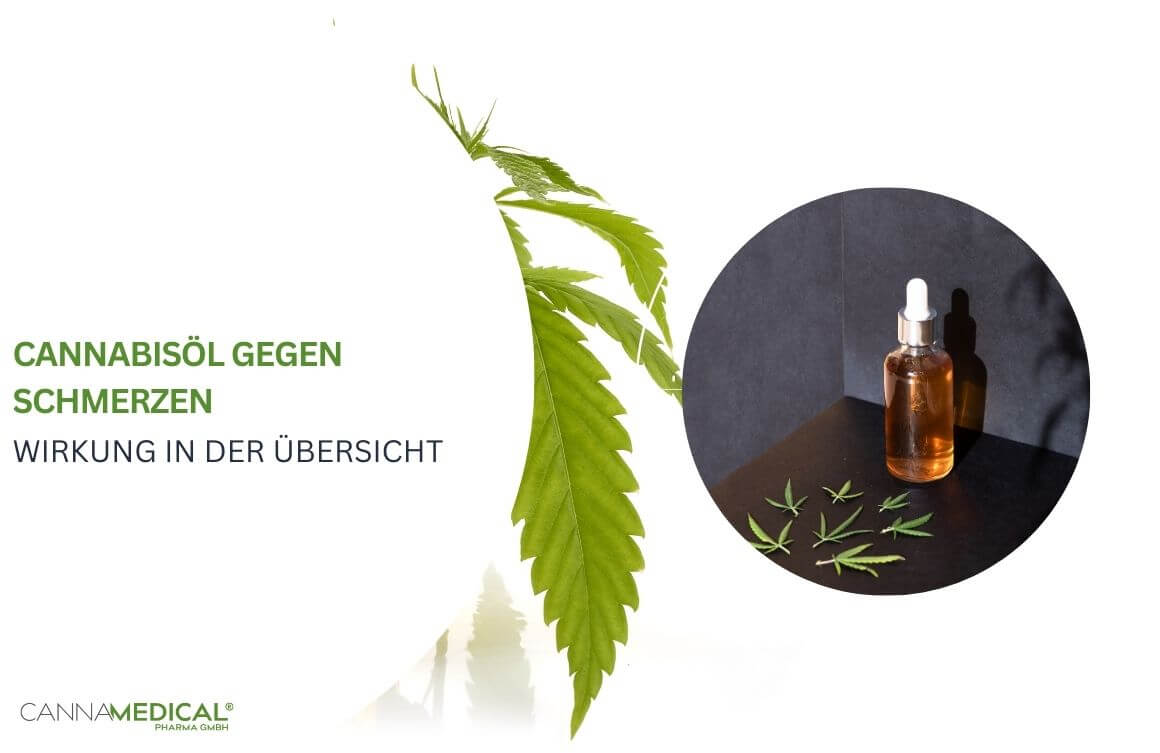 Cannabisöl gegen Schmerzen wirkung