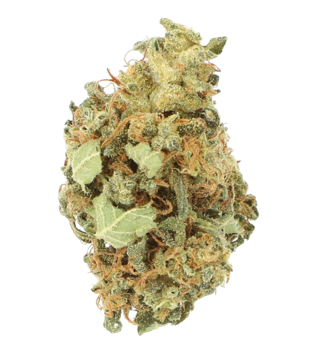 Ghost-Train-Haze.png