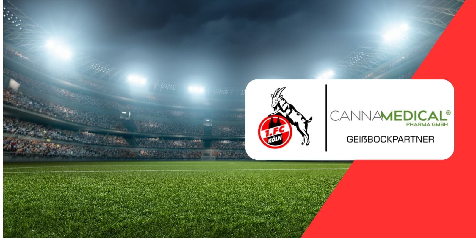 Cannamedical und 1.FC Koeln