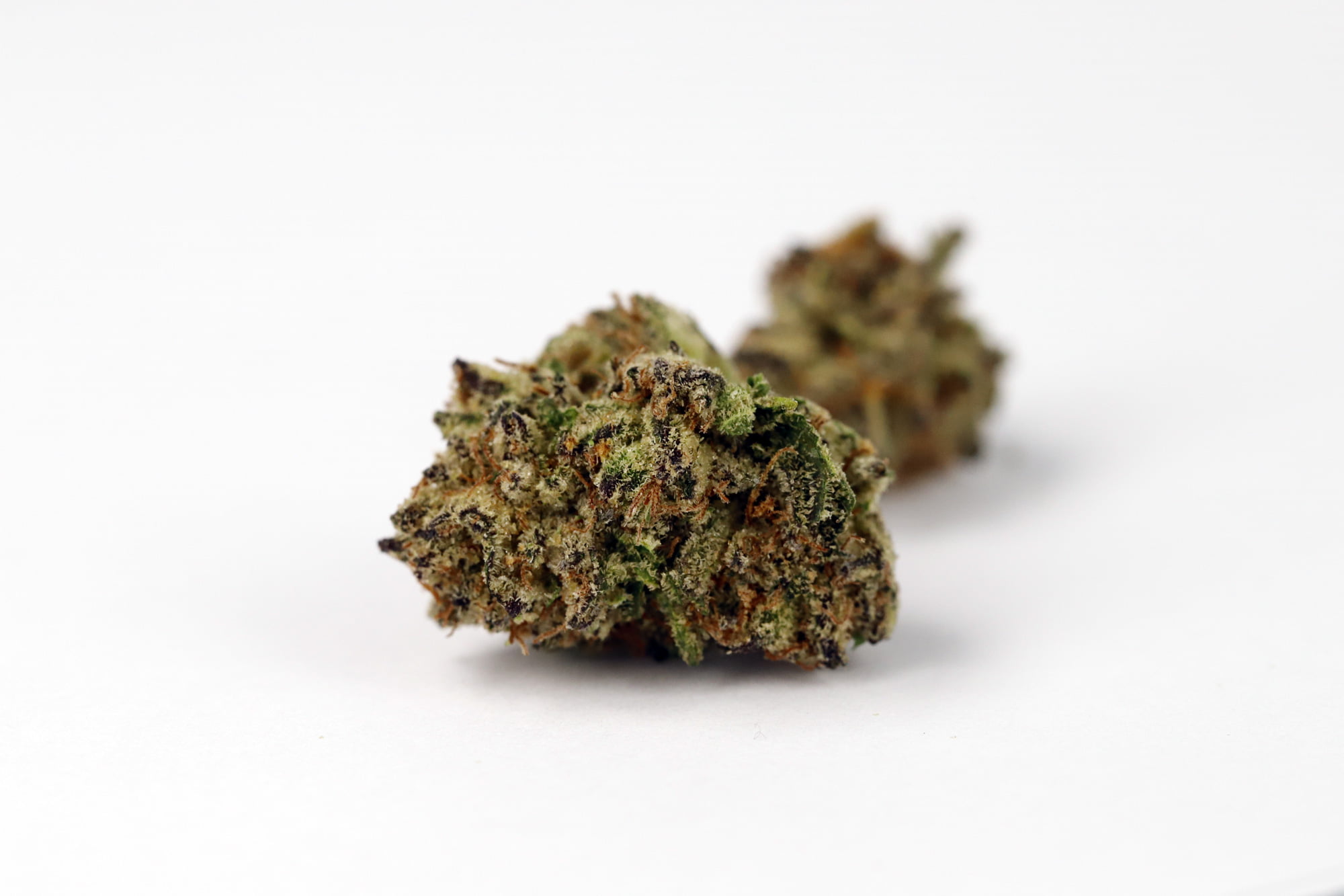 Cannamedical Strains