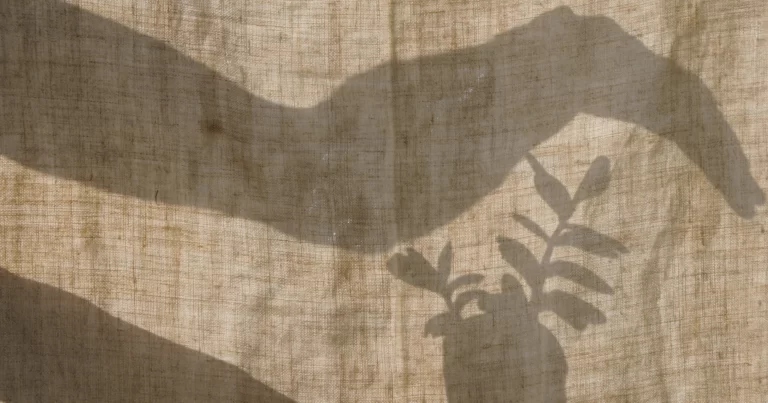 Schatten mit Silhouette einer Hanfpflanze.