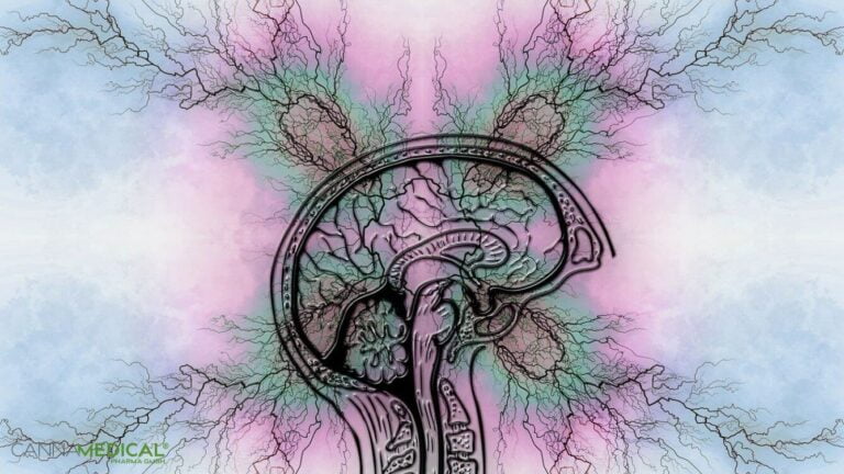 Gehirn Querschnitt psychedelischer Hintergrund
