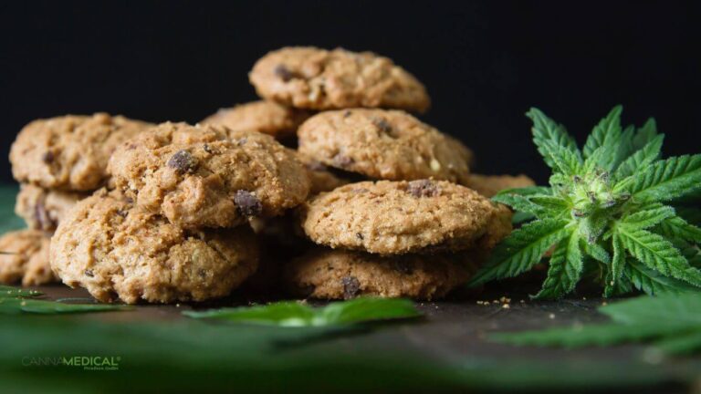 cannabis kekse titelbild (1337 x 752 px)