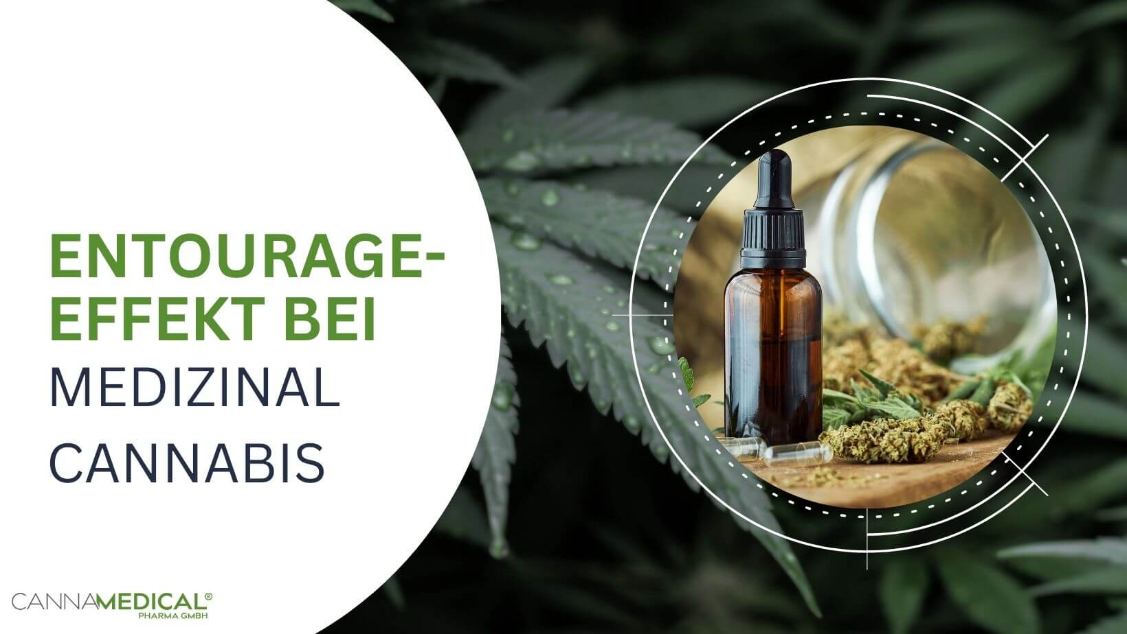 verschiedene Medizinalcannabisprodukte auf Holz