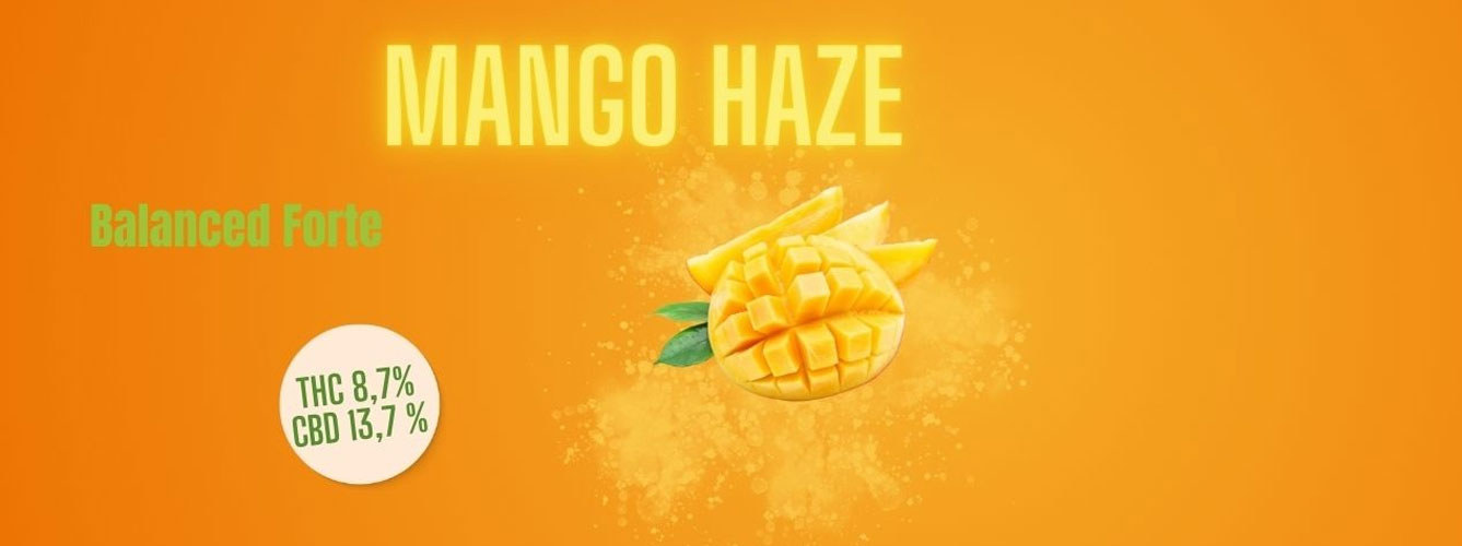 Mango Haze Banner
