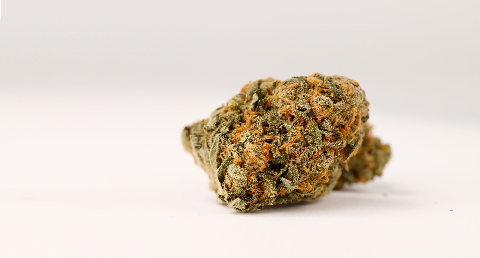 Cannamedical Gorilla Zkittlez Gelato Dream