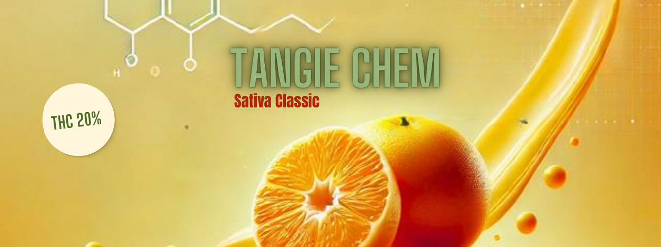 Tangie-Chem