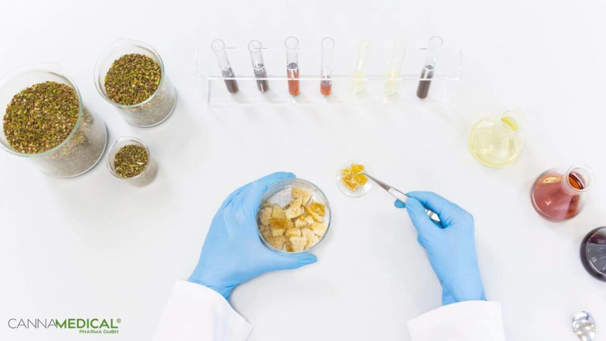 terpene-wirkung-titelbild-1200x676.jpg